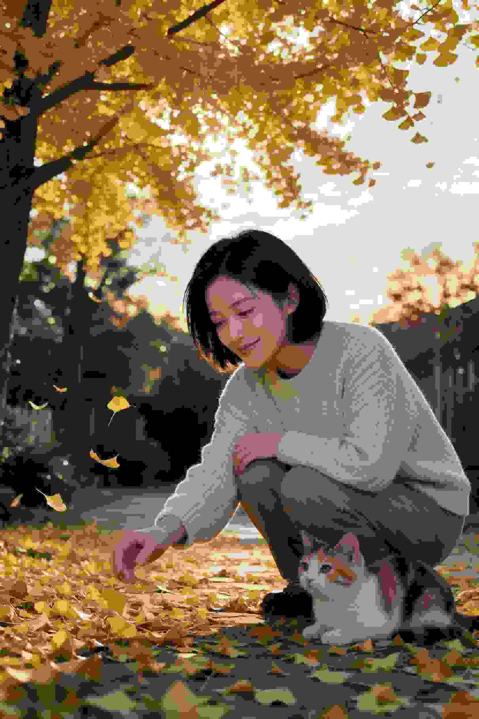 《星轨纪元》动漫网剧高清封面